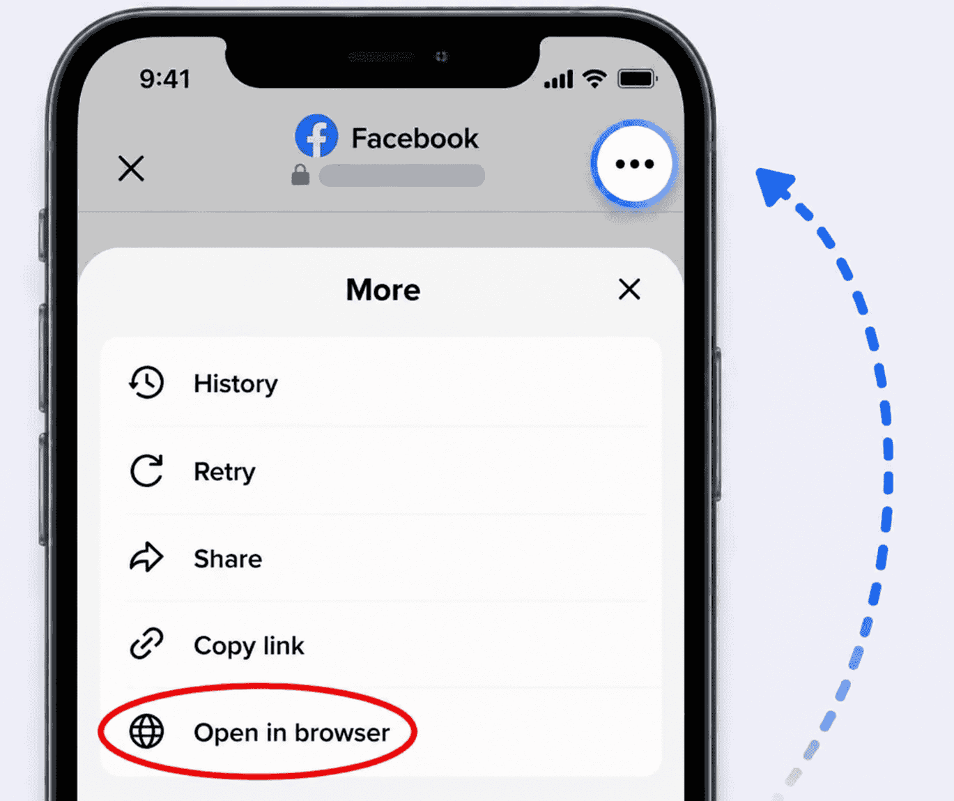 Facebook Safari Guide