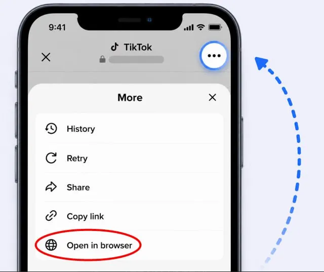 TikTok Safari Guide